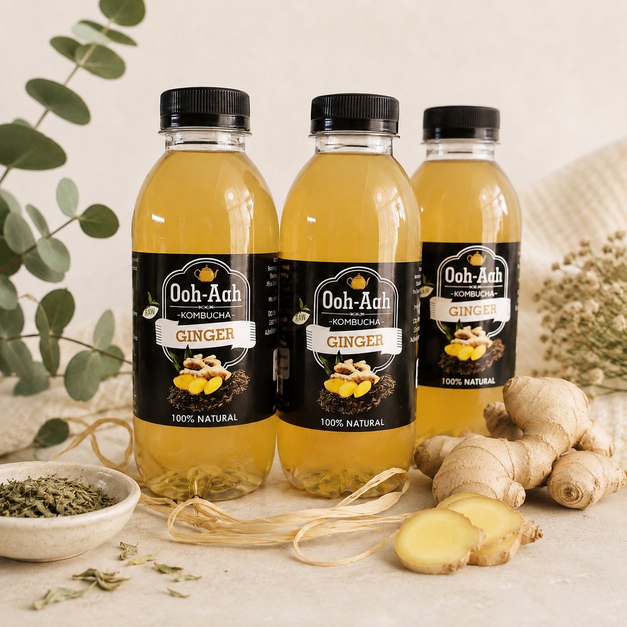 Ginger Kombucha (500ml)